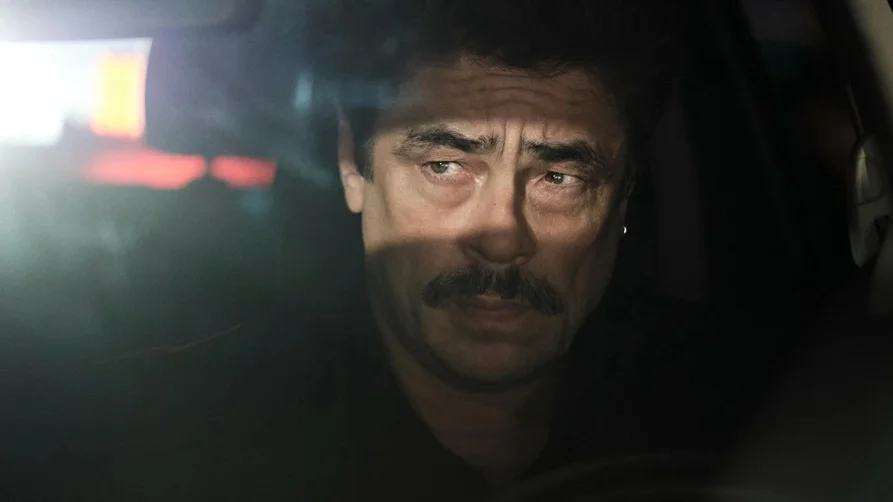 ქვეწარმავლები ქართულად